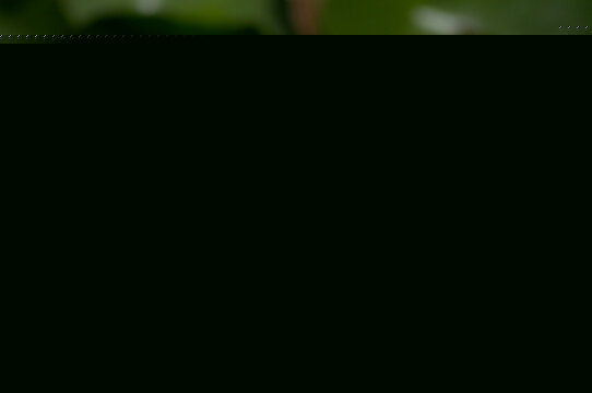 双色球开奖记录直播